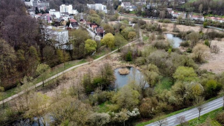 Vergehen im Wahlkampf: Bürgermeisterin tritt in Bad Gandersheim nicht erneut an