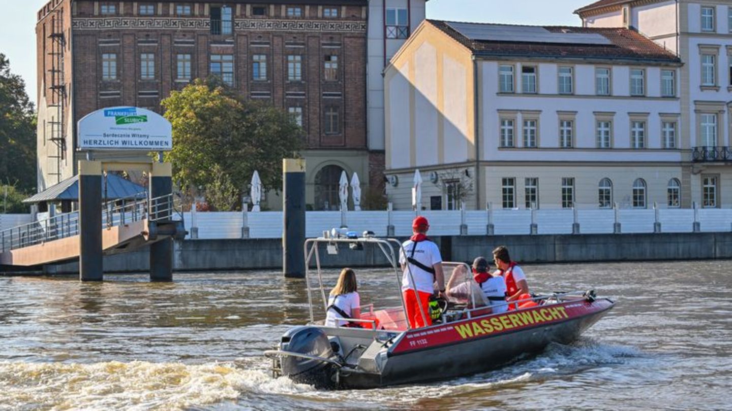 Überflutungsgefahr wächst: Hochwasser an der Oder: Ratzdorf erreicht Alarmstufe 3