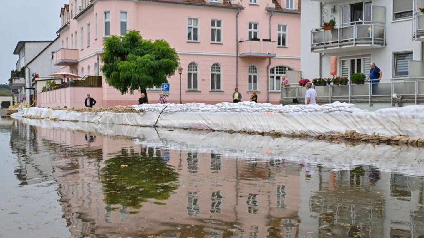 Überflutungsgefahr: Hochwasser steigt - Erste Straßen an der Oder überflutet