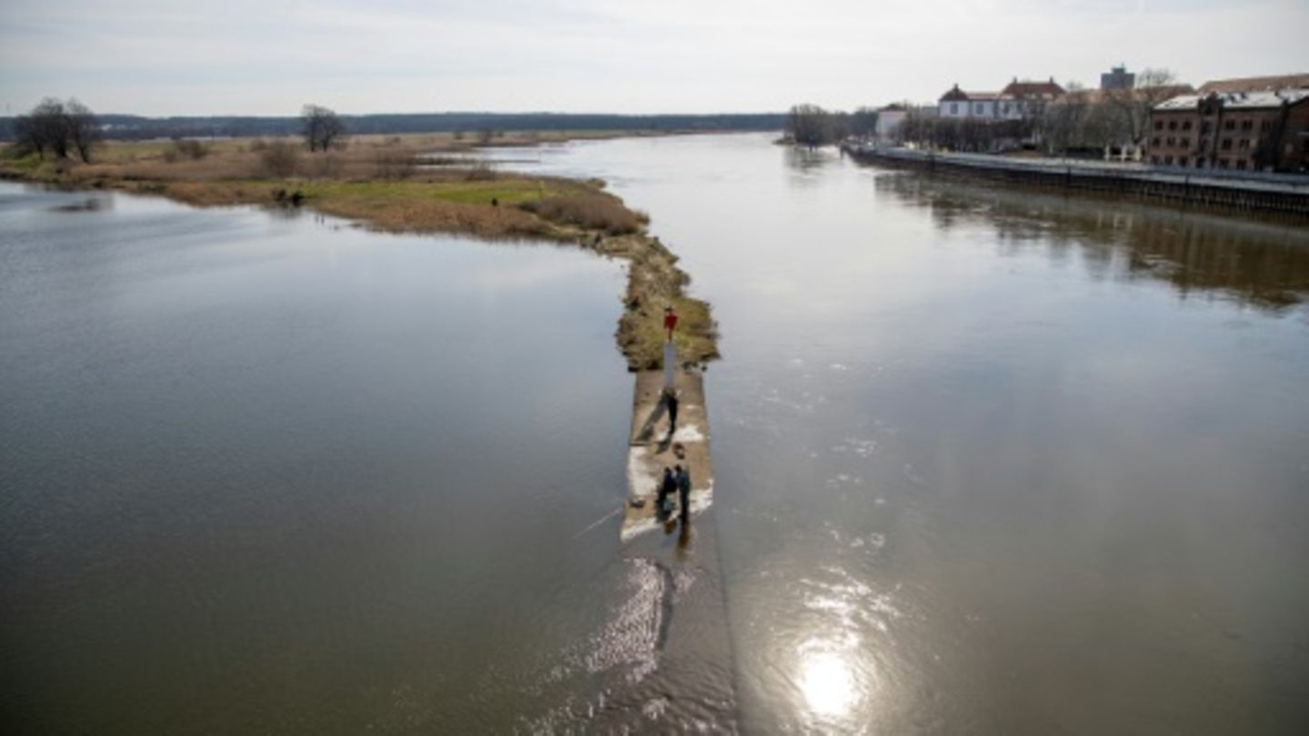 Hochwasser an Oder: Höchste Alarmstufe in Landkreis Oder-Spree ausgerufen