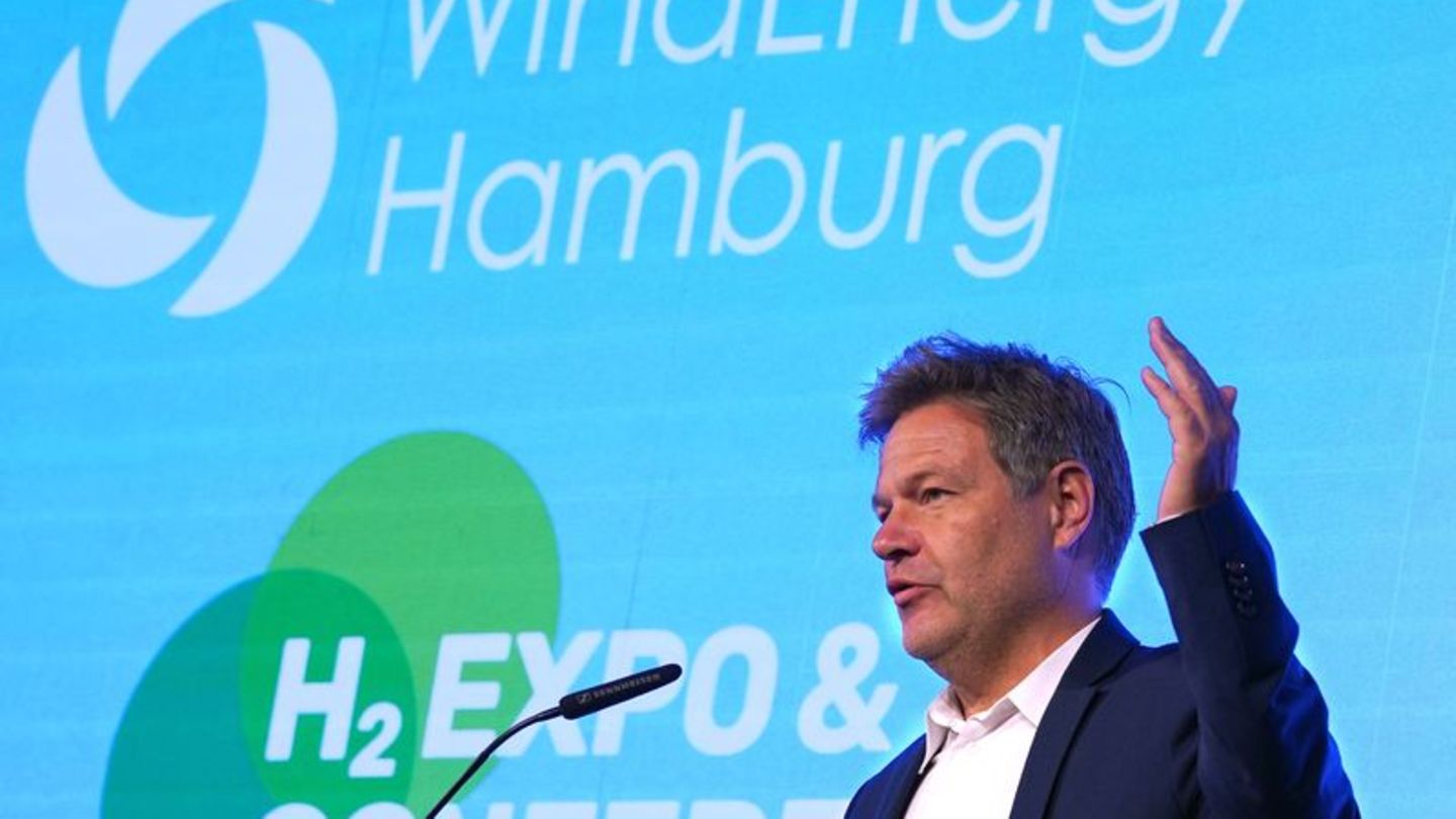 Energie: Habeck spricht bei Windenergie-Fachmesse in Hamburg