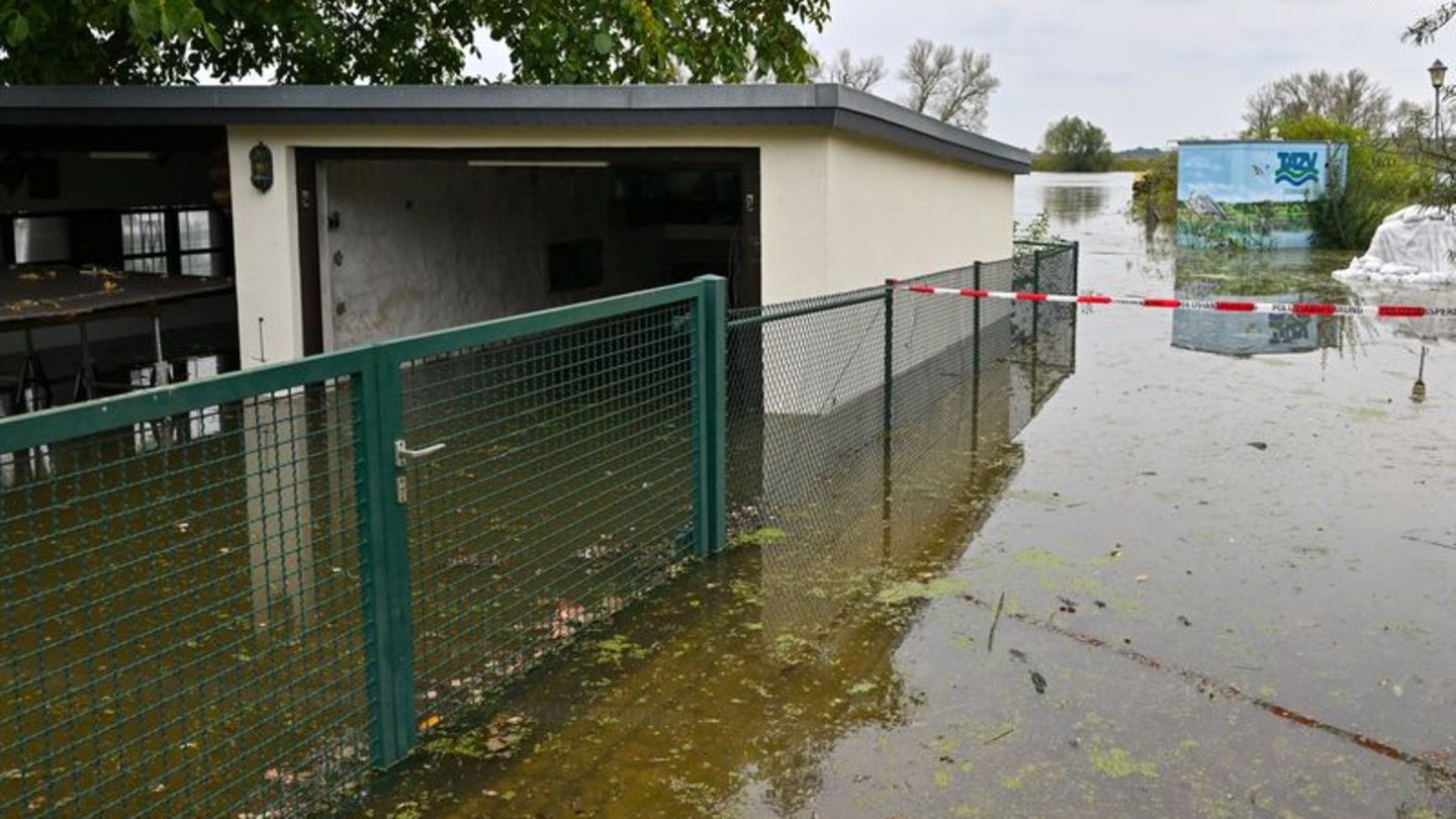 Überflutungsgefahr: Höchste Hochwasser-Alarmstufe in Eisenhüttenstadt erreicht