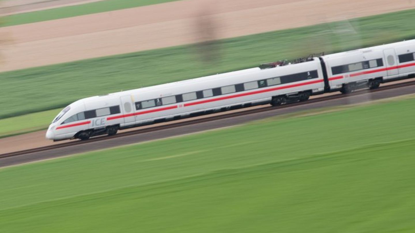 Behinderung auf Strecke: Baum auf Bahnstrecke bei Peine - Verspätungen