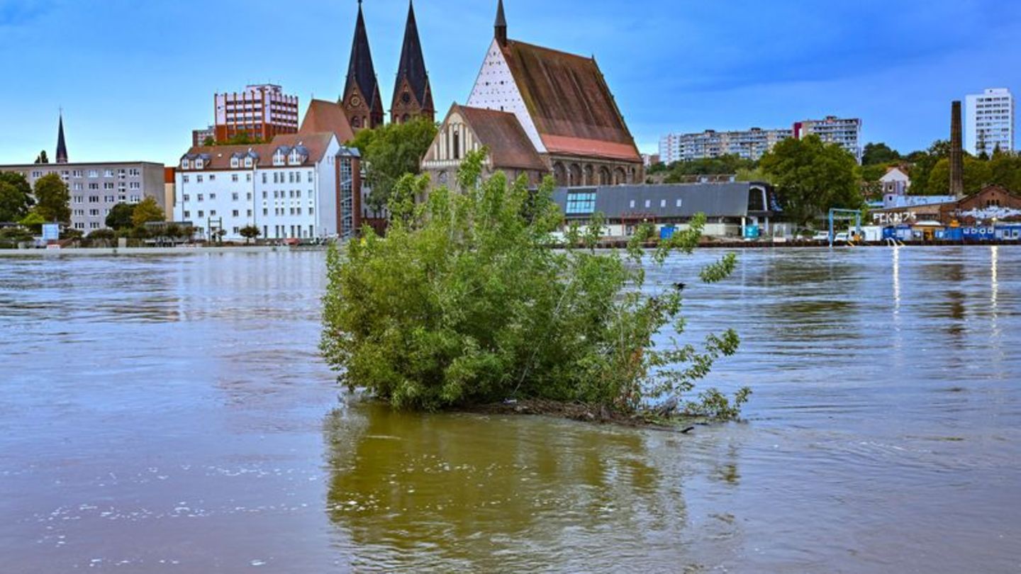 Überflutungen in Brandenburg: Trotz fallender Pegel: Hochwasserlage angespannt