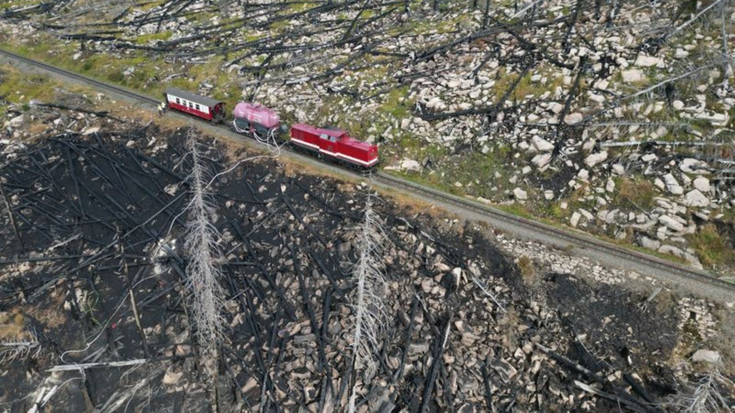 Waldbrände: Brockenbrand: Rund 17 Hektar Wald im Nationalpark vernichtet