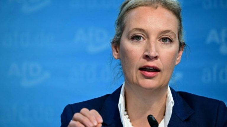 Parteichefin Weidel soll Kanzlerkandidatin der AfD werden