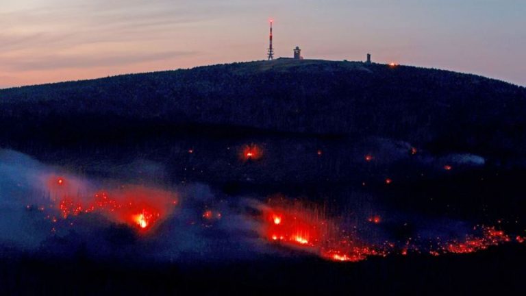 Natur in Flammen: Waldbrandsaison: Feuer im September treiben Zahlen nach oben