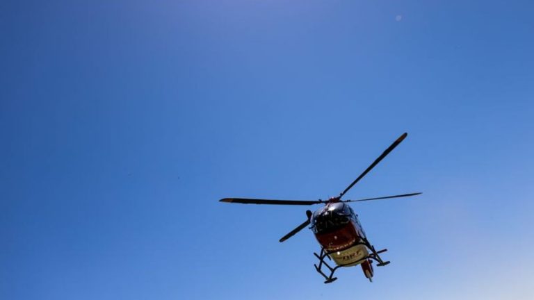 Von der Straße abgekommen: Auto in Baum geprallt: Mutter und drei Kinder verletzt