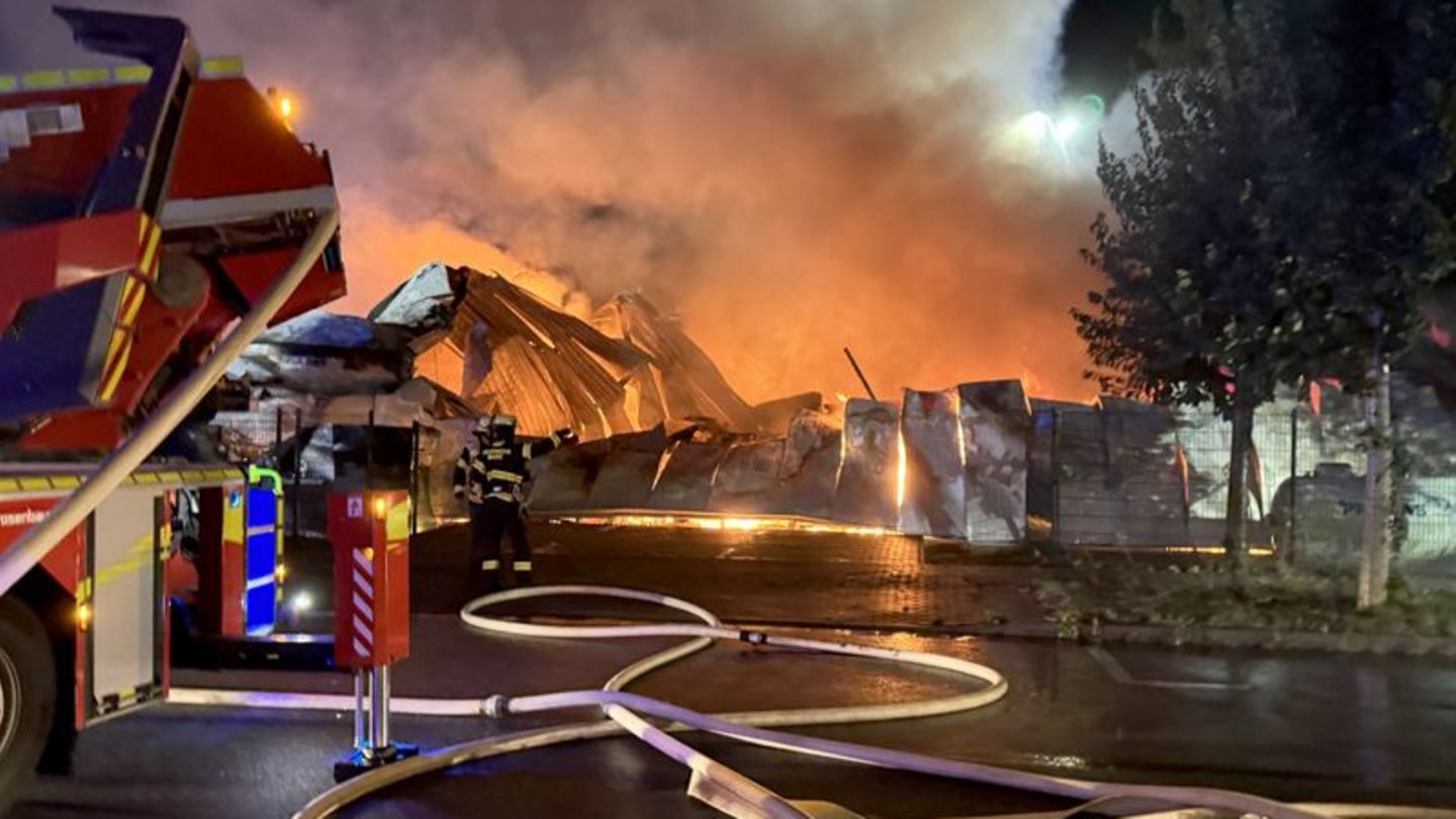 Mainz: Lagerhalle in Mainz stürzt bei Vollbrand ein