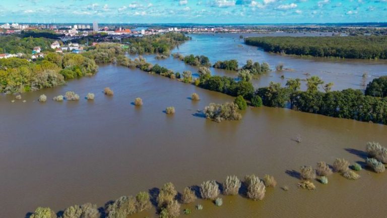 Hochwasser: Wasserstände an der Oder fallen in Brandenburg weiter