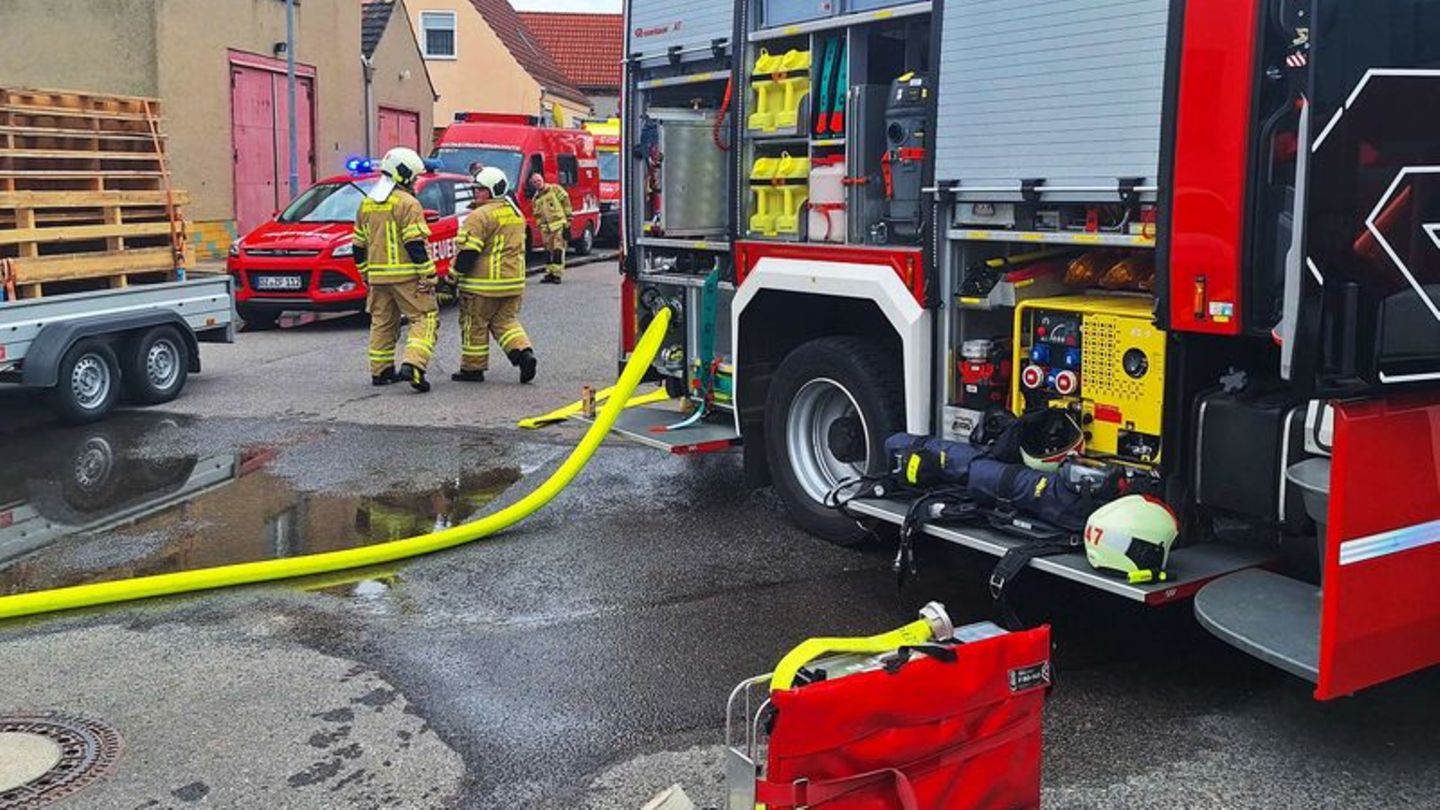 Leiche entdeckt: Tote in Wohnhaus in Delitzsch entdeckt - Hintergründe unklar