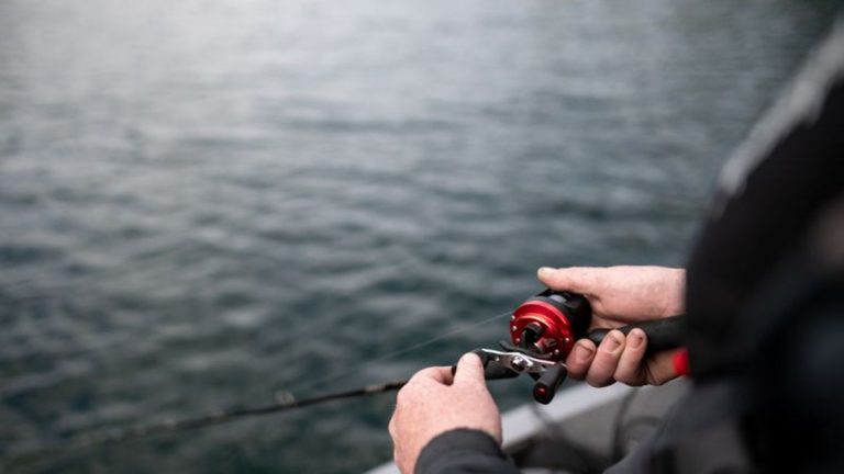 Ärgernis Fischwilderei: Fischwilderer sind Anglern Dorn im Auge