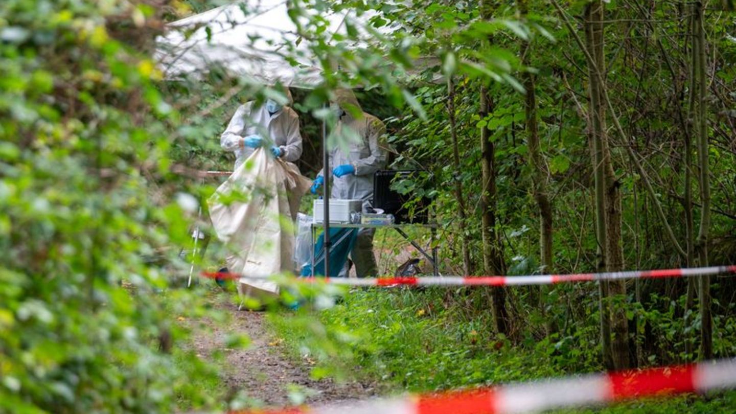 Kriminalität: 55-Jährige tot am Waldrand gefunden - Ehemann in Haft