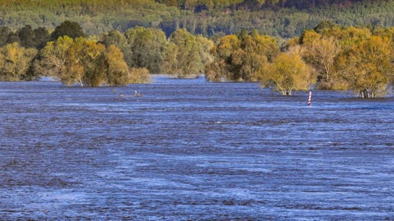 Hochwasser: Oder-Hochwasser geht zurück - Alarmstufe 3 meist aufgehoben