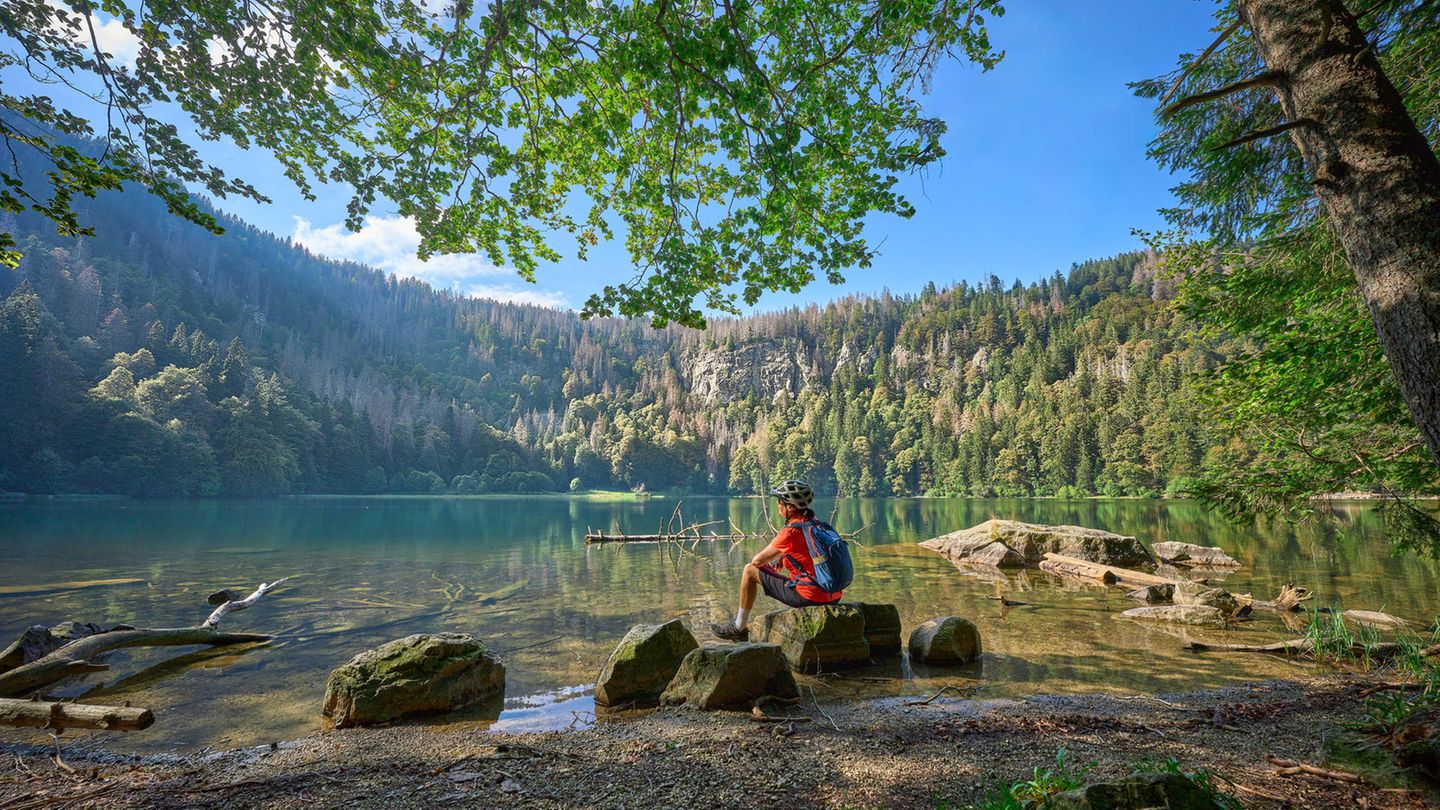 Brückentage: Wie Sie 2025 Ihren Urlaub verlängern