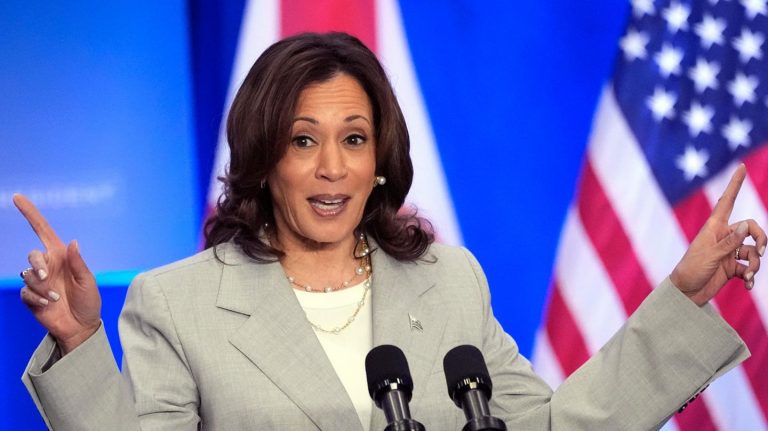 US-Vizepräsidentin: Fünf Dinge, die Sie über Kamala Harris wissen müssen