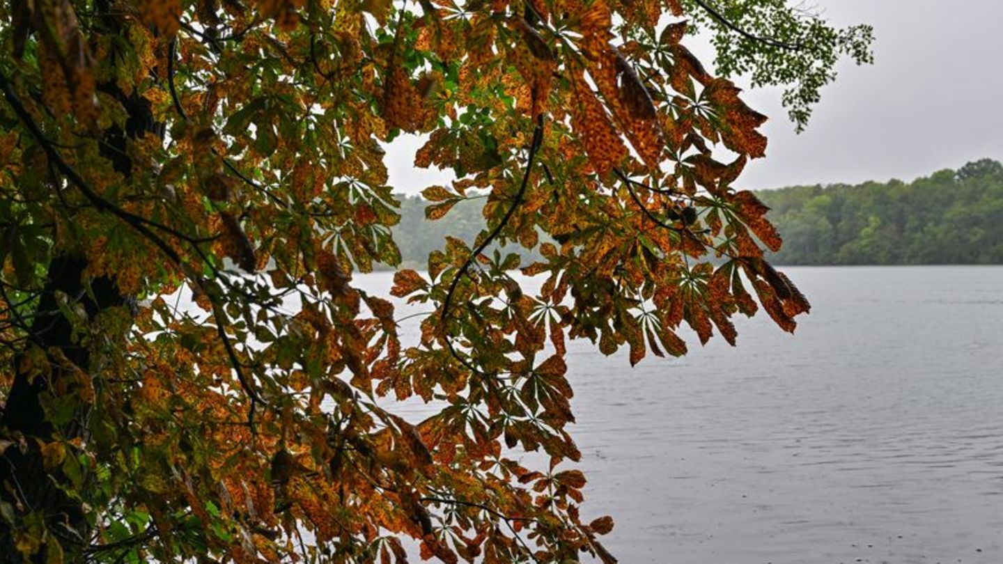 Wetter: Regen und Wolken in Berlin und Brandenburg - teils Gewitter