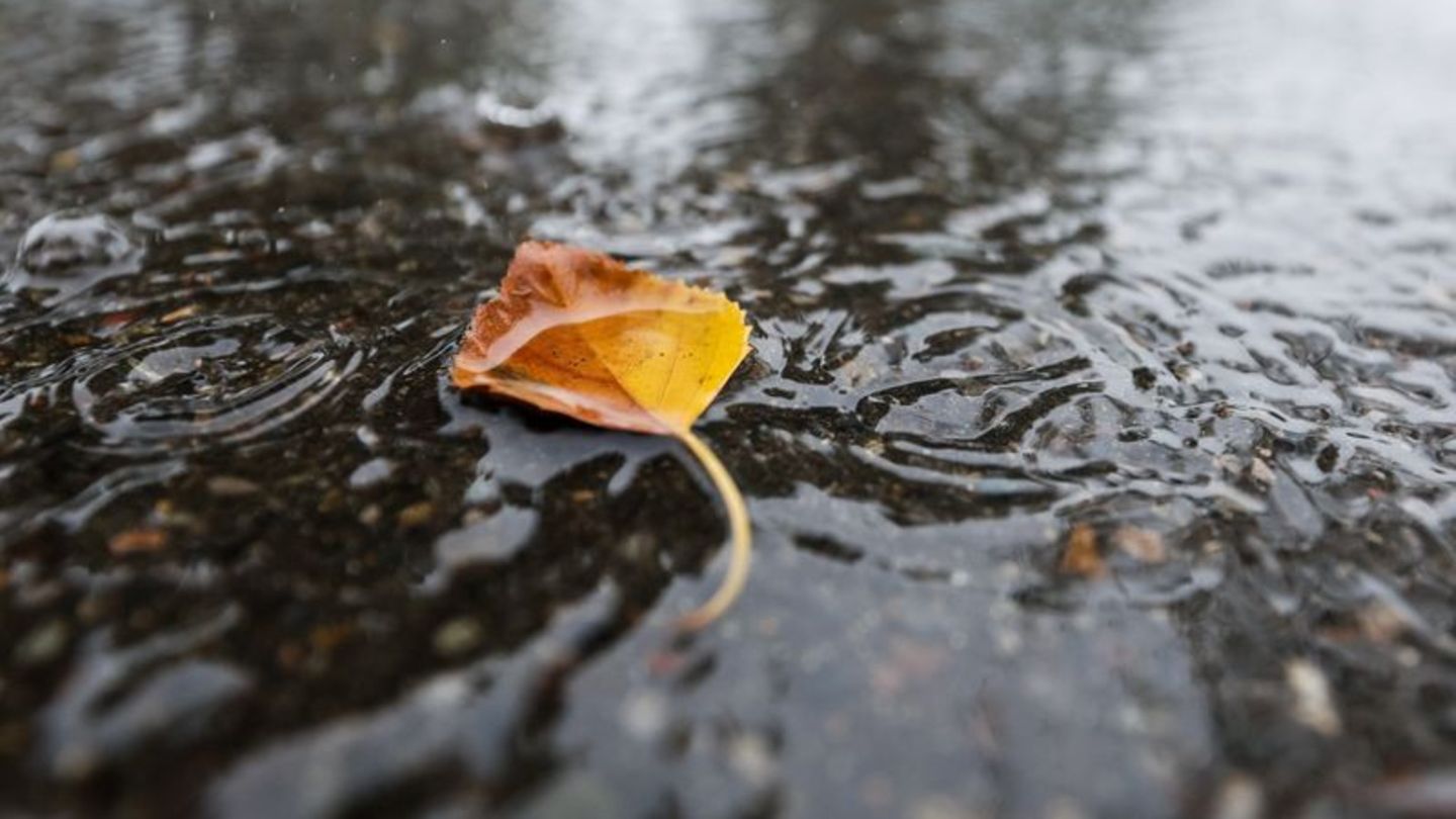 Wetter: Herbstliches Schmuddelwetter in Hessen