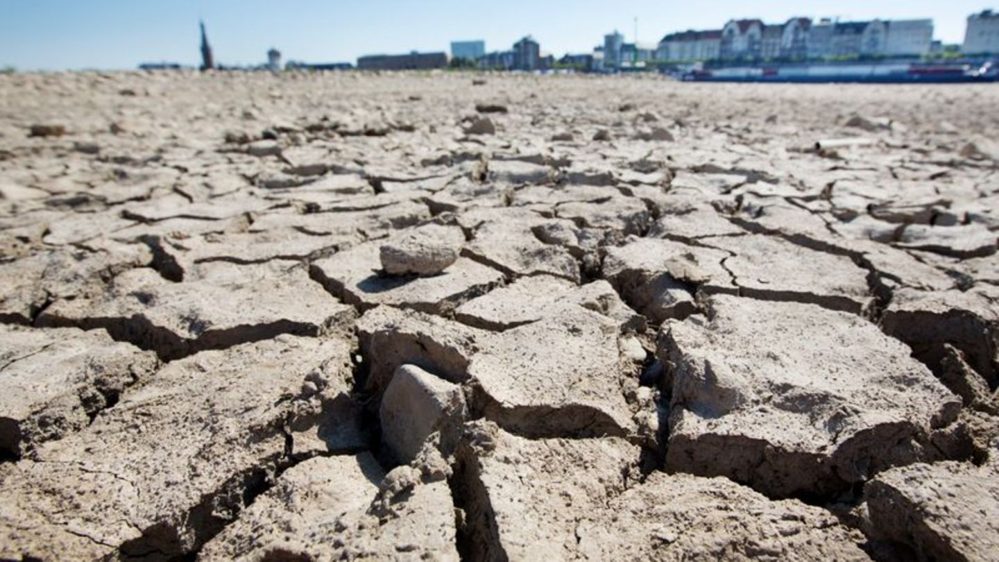 Klimaanpassungsstrategie: NRW setzt auf 110 Maßnahmen gegen Folgen des Klimawandels