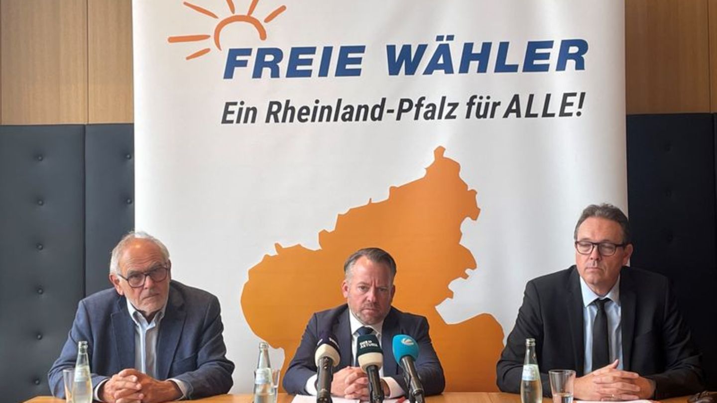 Parteiquerelen: Freie-Wähler-Chef erklärt Abgang mit inhaltlichen Zweifeln