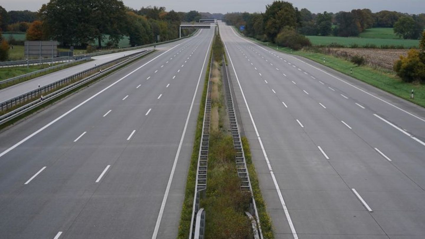 Tiere: Durch Unfall verstörter Hund stoppt Verkehr auf Autobahn