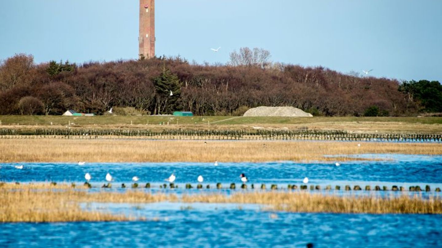 Erneuerbare Energien: Amprion erkundet Wattenmeerboden für Seekabel