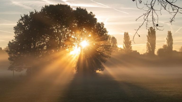 Vorhersage: Recht freundliches Herbstwetter am Wochenende