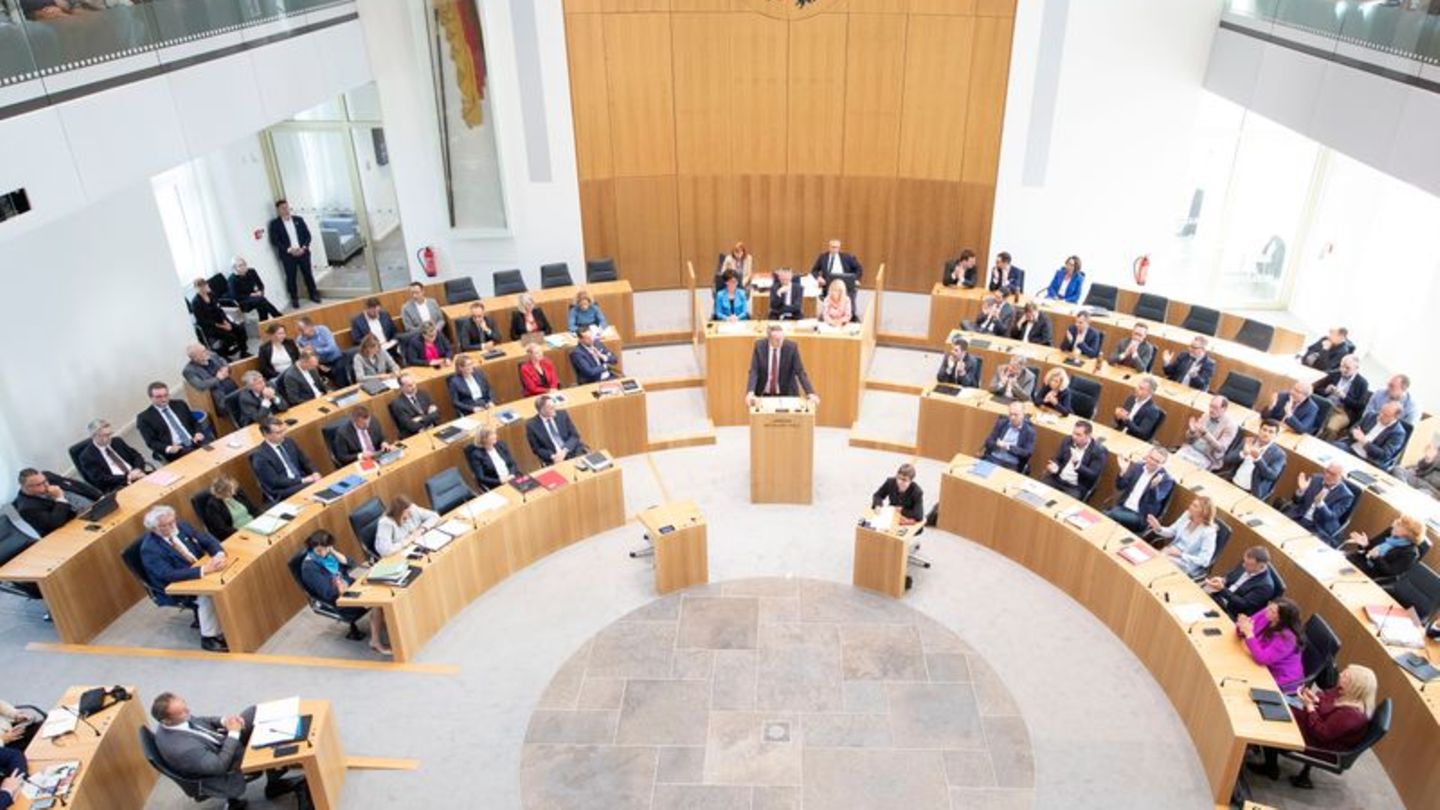 Landtag: Mehr Fraktionslose - Parlamentsarbeit verändert sich