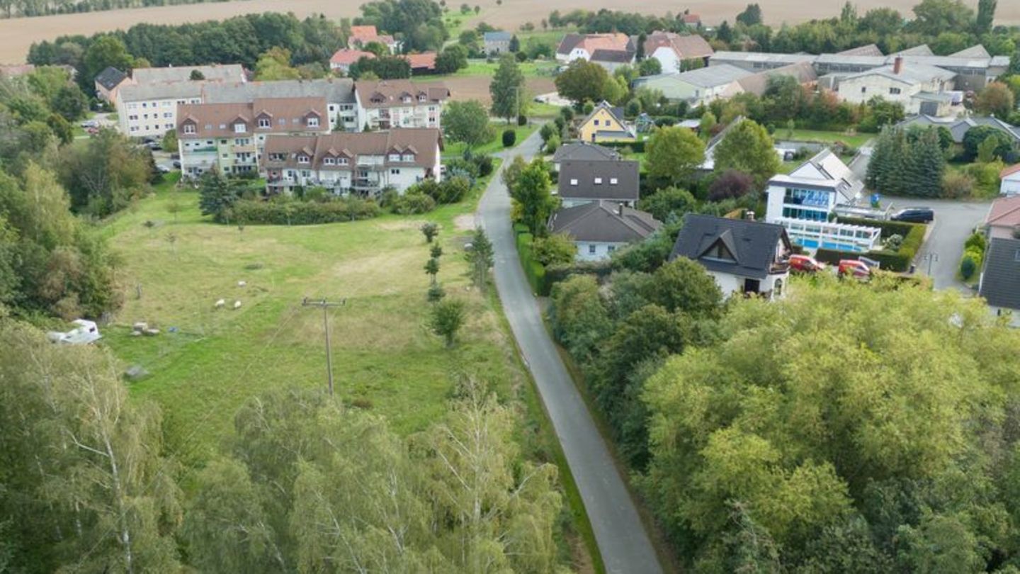 Gewaltverbrechen: Weitere Festnahme im Fall des Jogger-Todes bei Klipphausen