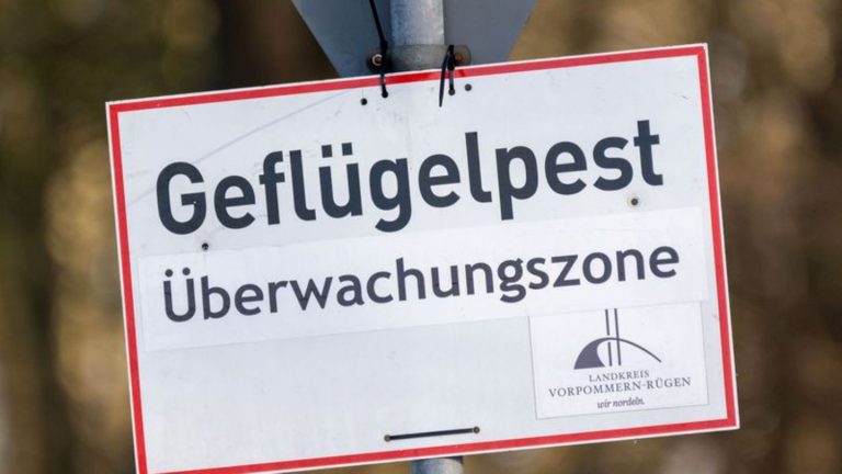 Tierseuchen: Stralsunder Zoo wegen Vogelgrippe geschlossen