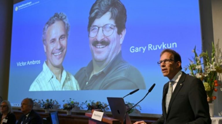 Medizin-Nobelpreis geht an RNA-Forscher Victor Ambros und Gary Ruvkun aus den USA