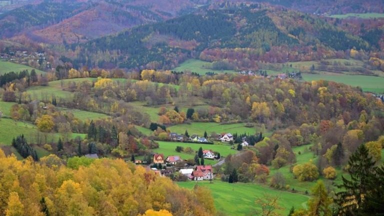 Waldinventur: Mischwald statt Fichtenkultur - Thüringens Wälder im Wandel