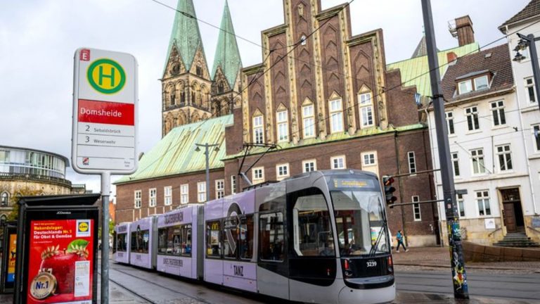 Schwarzbuch: Lastenrad bis Wasserstoff - Kritik an Steuerverschwendung