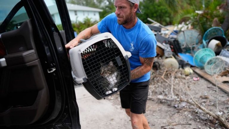 Unwetter: Florida rüstet sich für "Milton" - Biden ändert Reisepläne