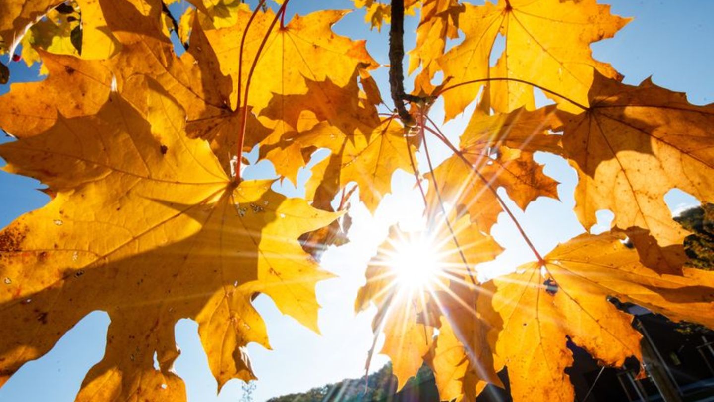 Wetter: Nach Regen wird die Sonne in Baden-Württemberg erwartet