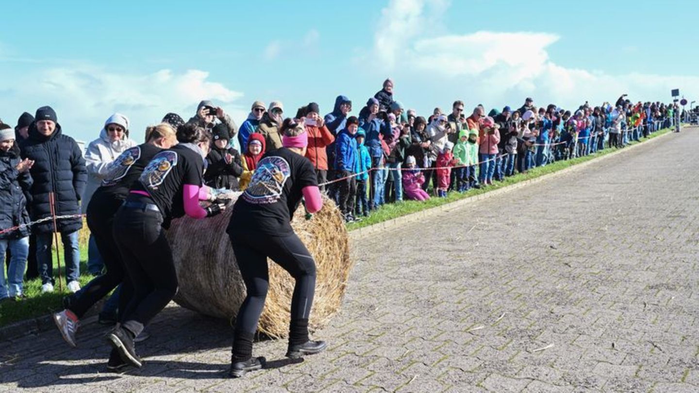 An der Nordseeküste: Teams kämpfen um den Titel "Strohballen-Rollmeister 2024"