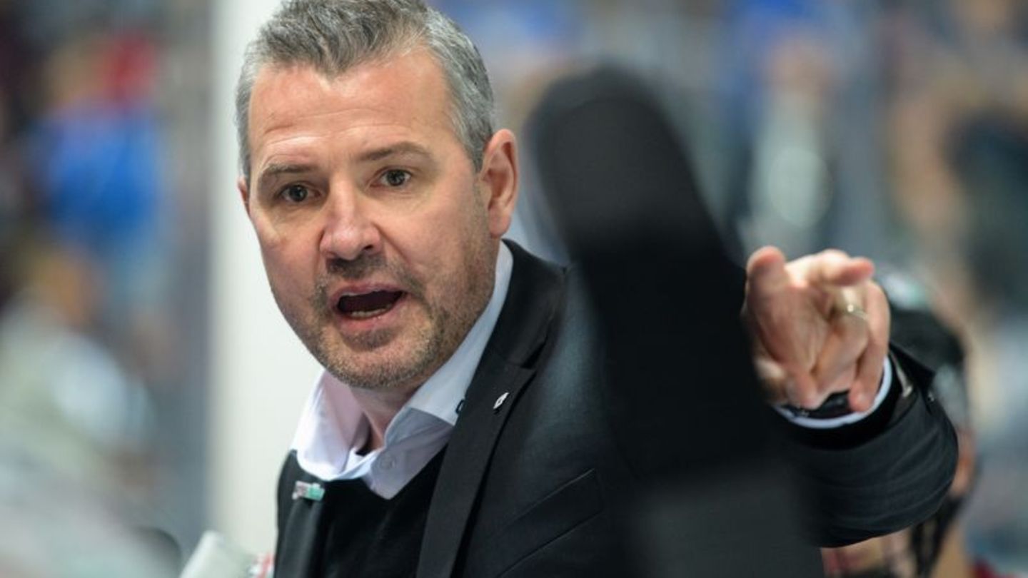 Deutsche Eishockey Liga: Coach Aubin sieht Eisbären "bereit" für Ingolstadt