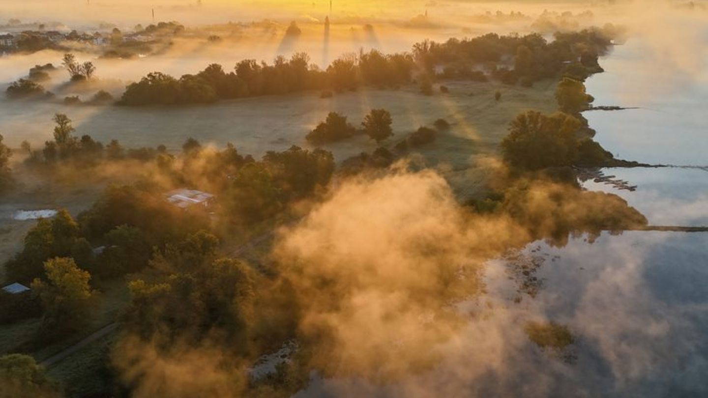 Wetter: Neblige Aussichten für Sachsen-Anhalt