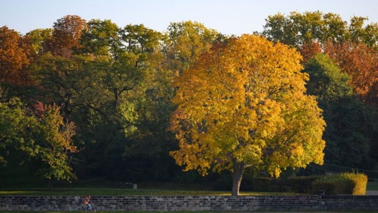 Wettervorhersage: Goldener Oktober bringt stellenweise mehr als 20 Grad