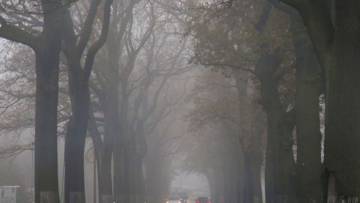 Wetter: Herbstwetter in Berlin und Brandenburg: Neblige Aussichten