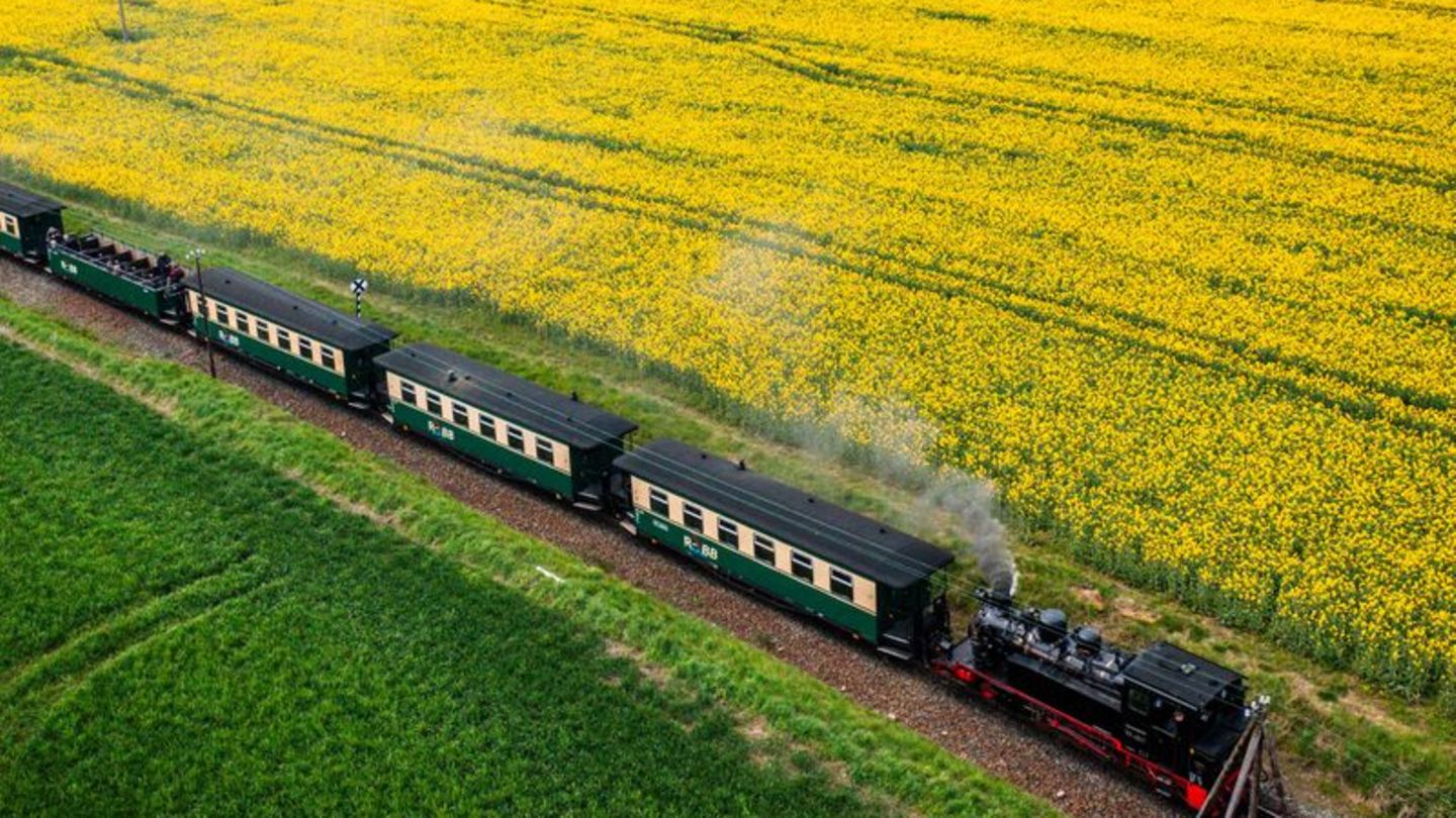 Schmalspurbahn: Rügen: Auto kollidiert mit "Rasendem Roland"