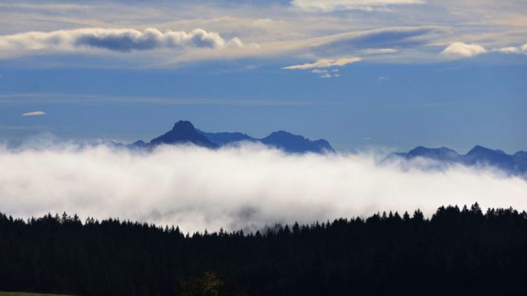 Wetterausblick: Trüb und neblig - teils auch goldenes Herbstwetter in Bayern