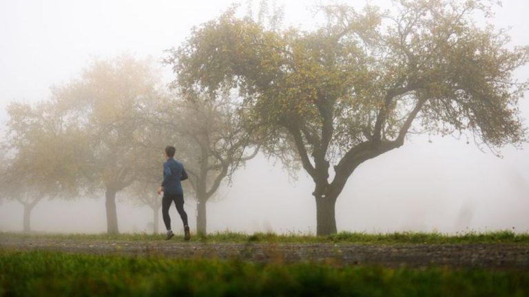 Wettervorhersage: Neue Woche beginnt mit Nebel