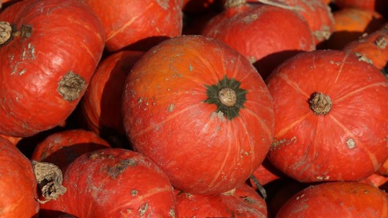 Verbraucherpreise: Preisanstieg bei Obst und Gemüse ebbt ab