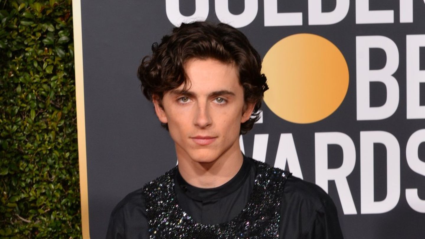 Timothée Chalamet: Überraschungsgast bei Doppelgänger-Wettbewerb