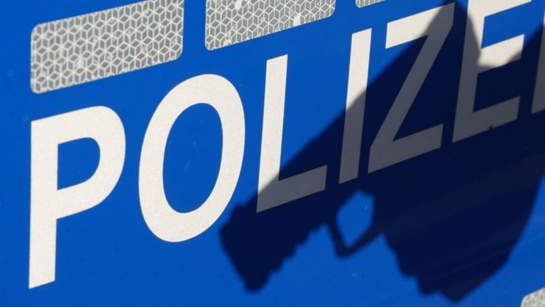 Schusswaffengebrauch im Dienst: Polizei gibt 2024 besonders viele tödliche Schüsse ab