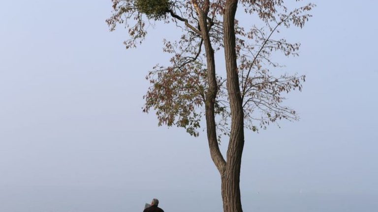 Wetter: Viel Nebel, wenig Sonne in Nordrhein-Westfalen