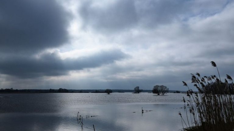 Wetter: Viele Wolken zur Mitte der Woche