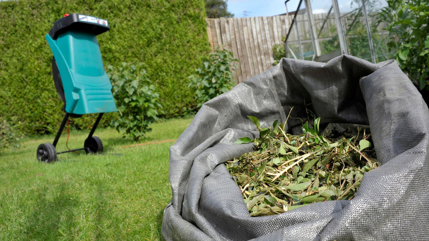 Ratgeber: Laub und Äste schreddern: Welcher Gartenhäcksler ist der richtige?