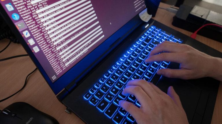 Cyberangriff: Hacker erbeuten Daten aller Polizisten der Niederlande